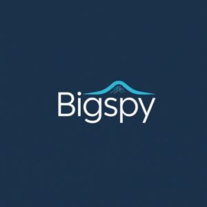 BigSpy Ads Intelligence Workspace for Ad Research